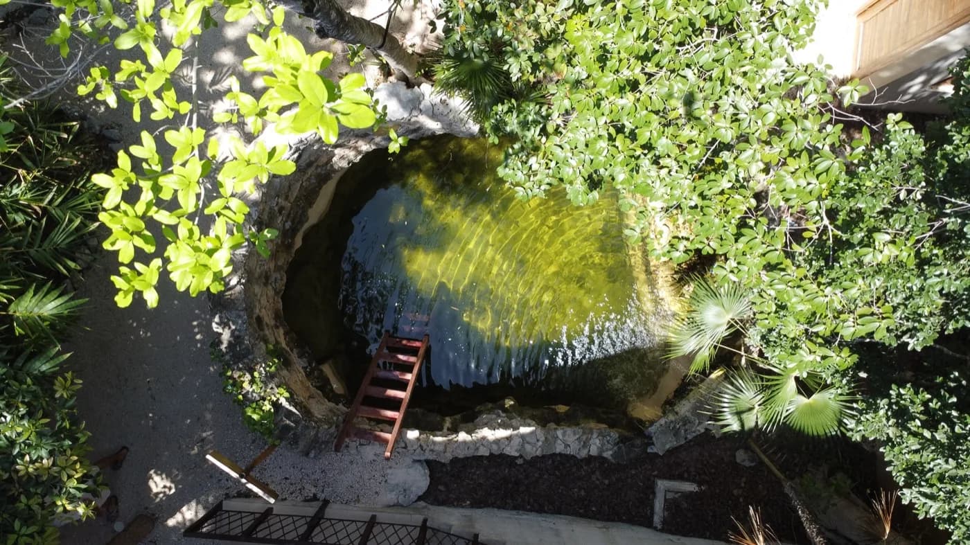 Natural cenote pool — private, jungle-surrounded